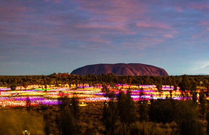 Uluru Field of Light Experience