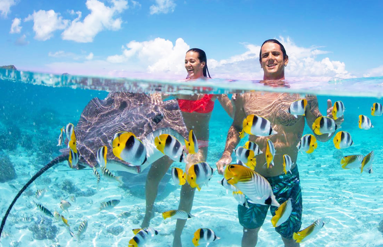 Bora Bora swimming with abundant marine life in crystal clear waters.