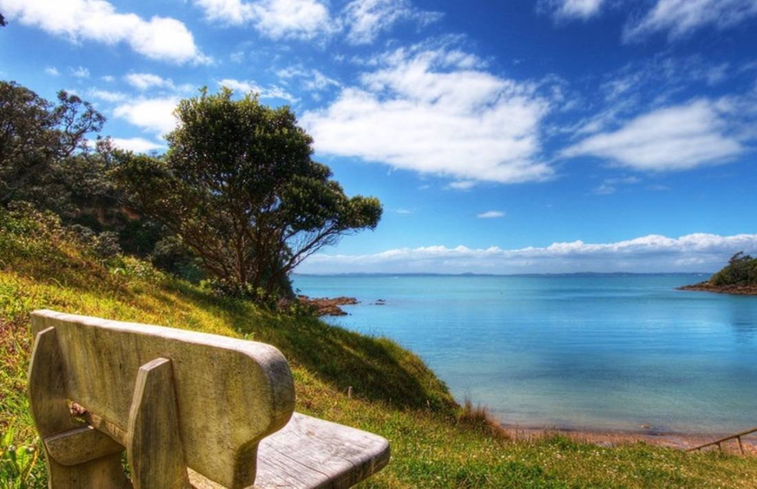 Waiheke Island Beach