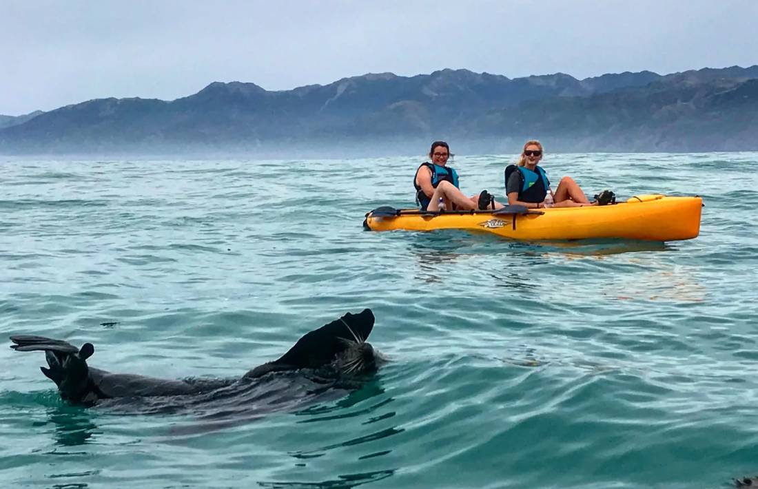 Kaikoura Kayaks