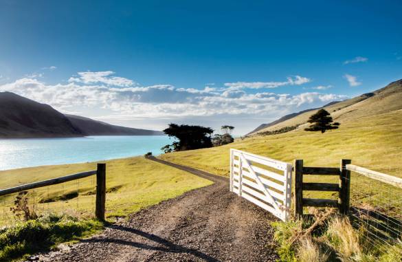 Annandale farm gate