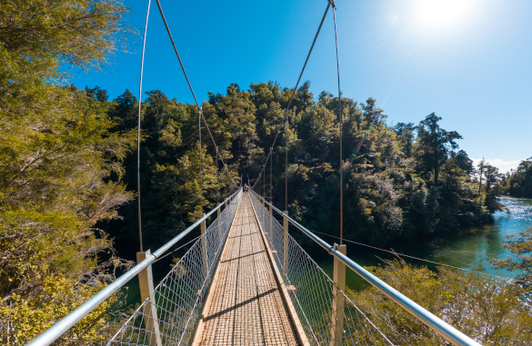 Bridge