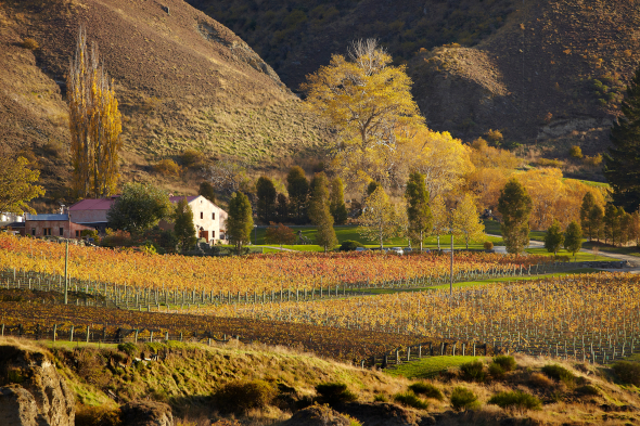 Gibbston Valley
