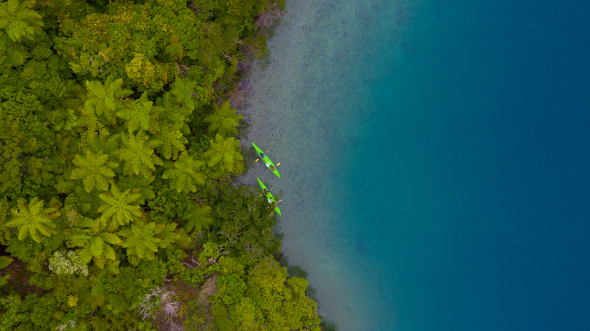 Kayaking Marlborough
