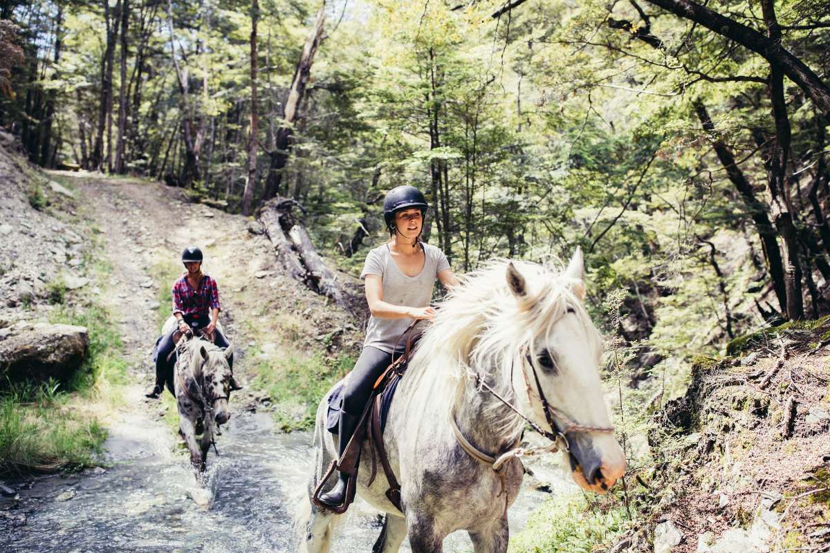 Horse Riding