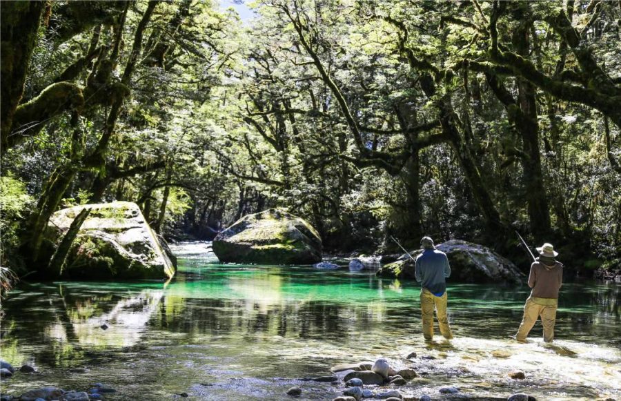 Fly Fishing