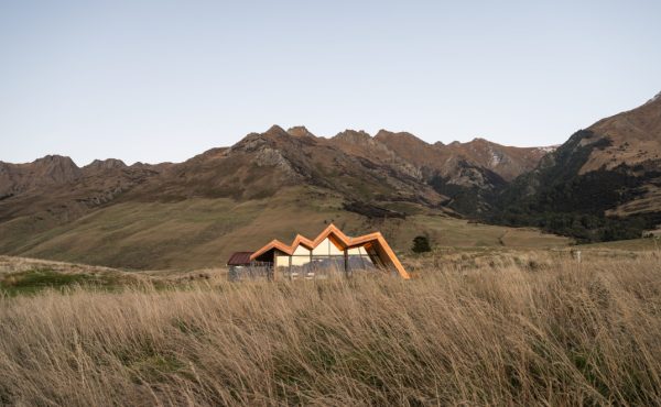 Mt Isthmus Tussock