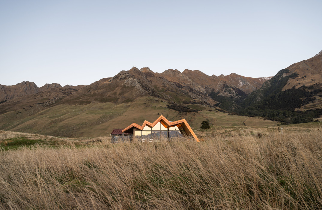 Mt Isthmus Tussock