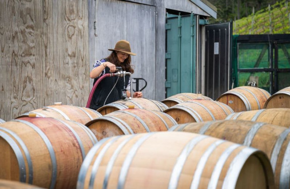 Wine Barrels
