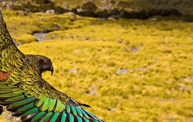 Planning your luxury New Zealand Holiday