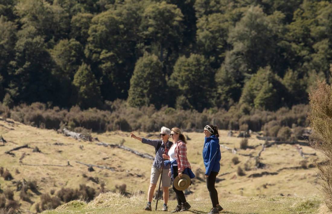 Poronui Treking