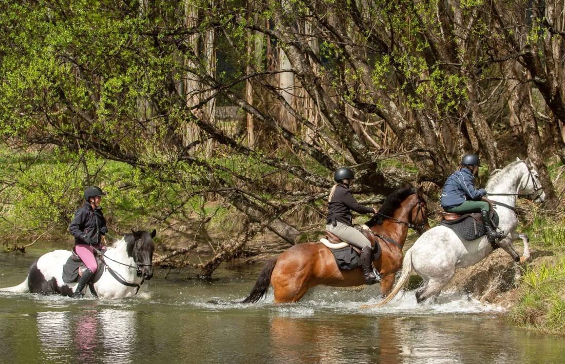 Poronui Horse Riding