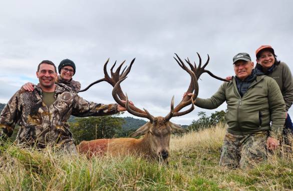 Red Stag hunting