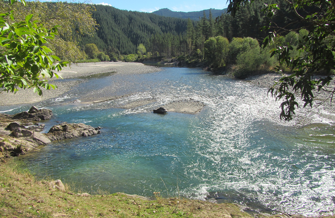 Stonefly Lodge experiences
