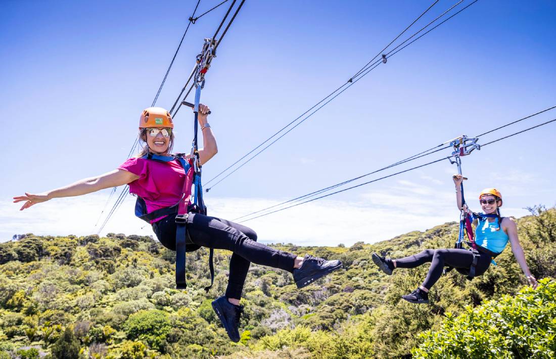 Waiheke Zipline