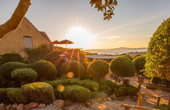 Waiheke Vinyards