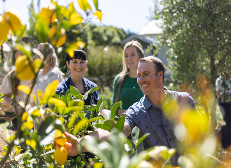 Hapuku Kitchen Gardens