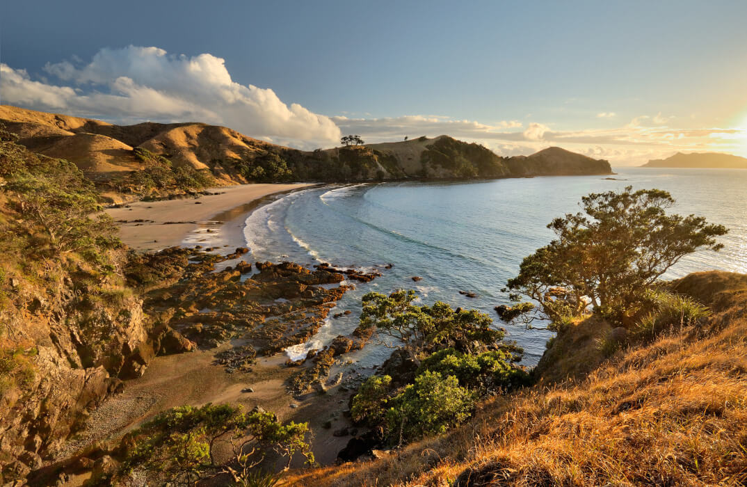 Great Barrier Island