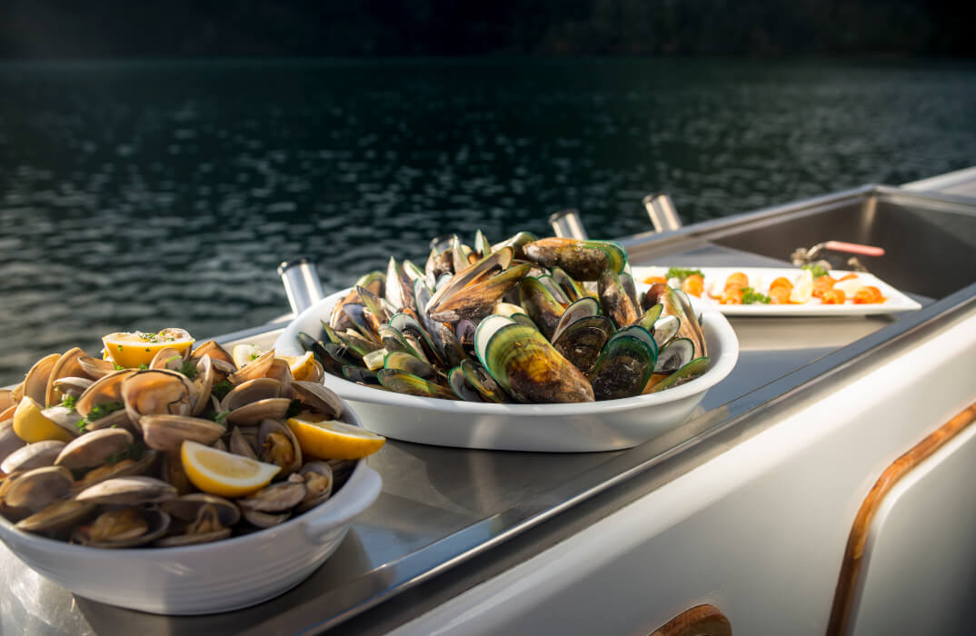 Greenshell Mussel Cruise Marlborough