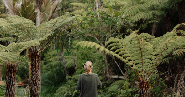 Hotel Britomart Nourishing Nature