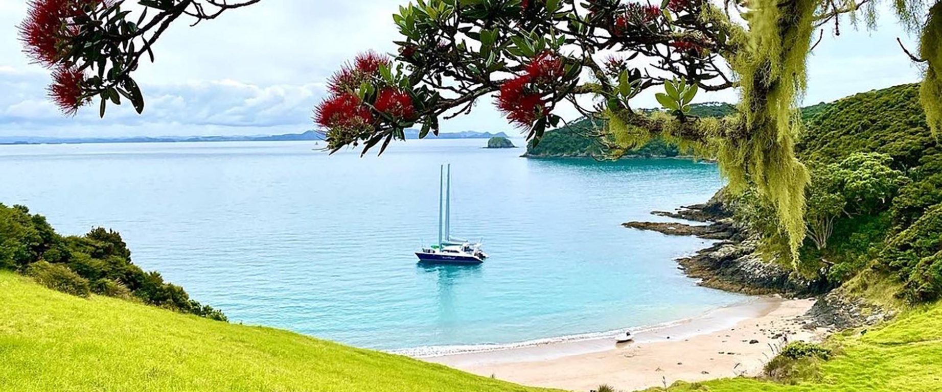 sailing in beautiful New Zealand