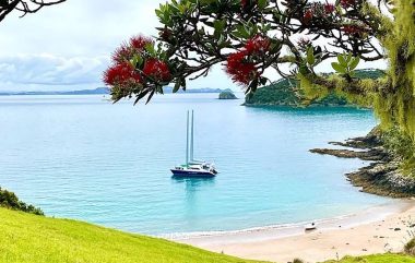 sailing in beautiful New Zealand
