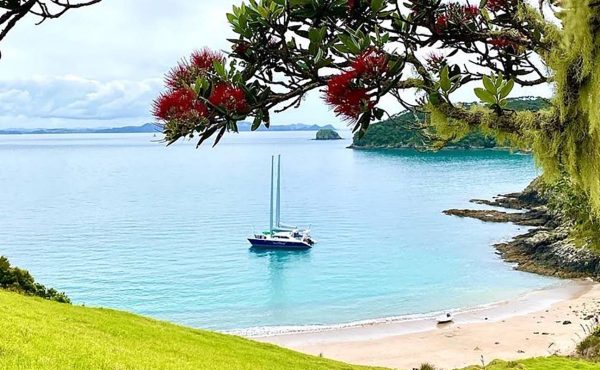 sailing in beautiful New Zealand