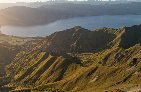 Lake Hawea Station hunting