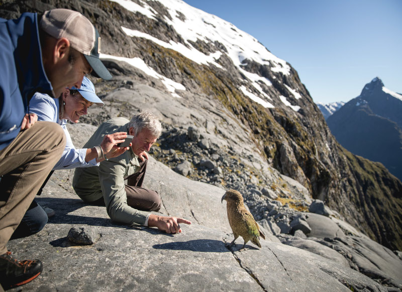 Kea