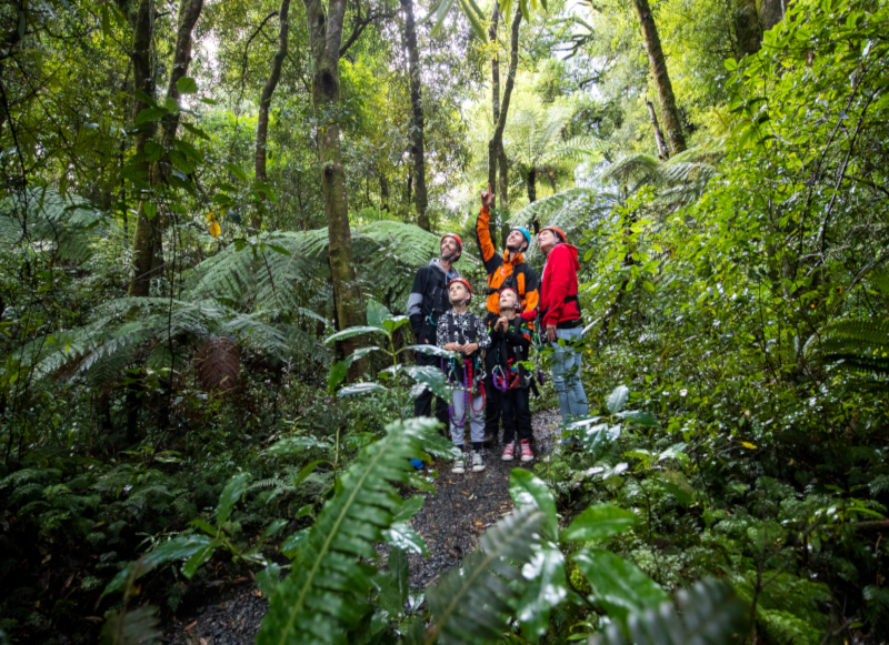 Rotorua Canopy Tour