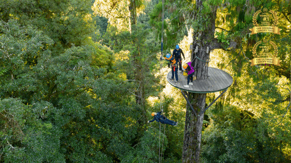 Rotorua Canopy Tour