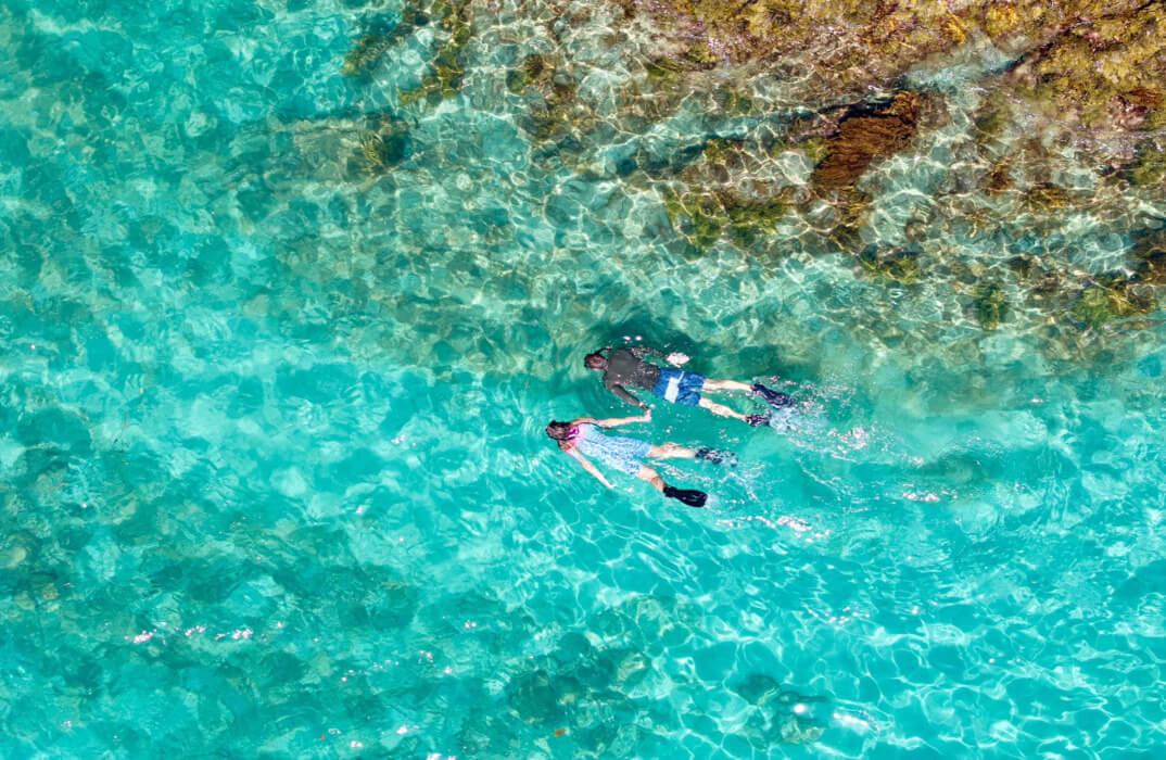 Snorkelling Bay of Islands