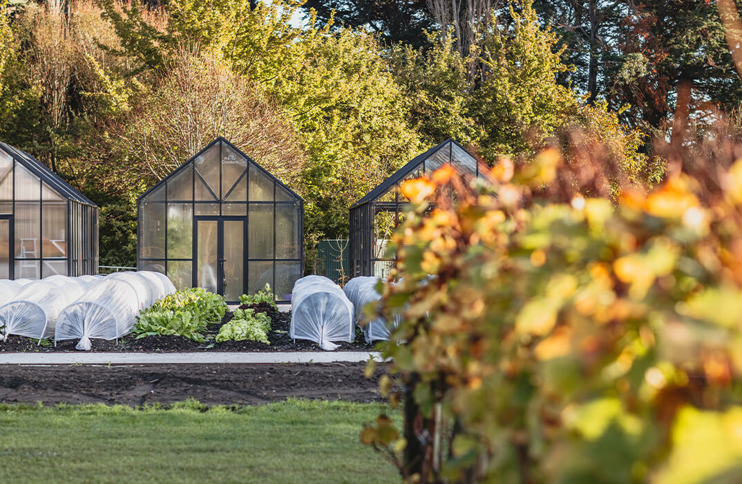 Craggy Range Kitchen Gardens
