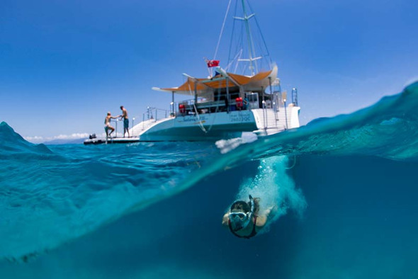 Great Barrier Reef Snorkelling