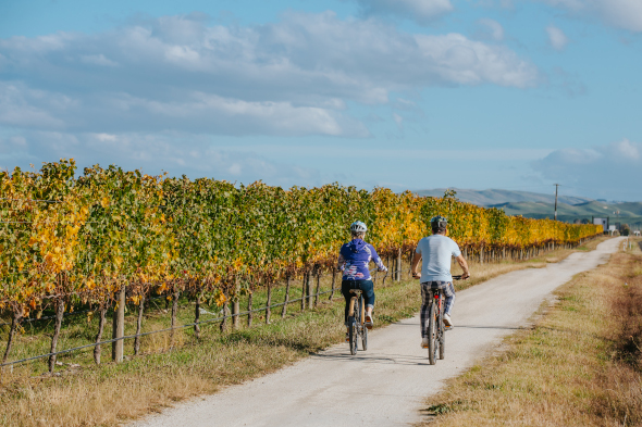 Hawkes Bay Bike The Wineries