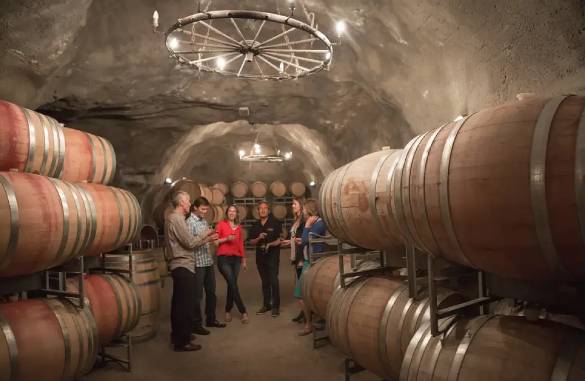 Queenstown Wine Tour