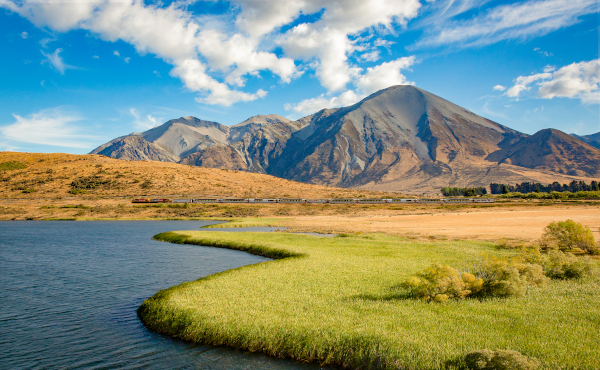 TranzAlpine Train Journey