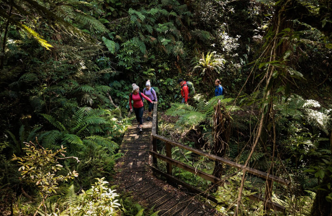 Kaimanawa Forest Park
