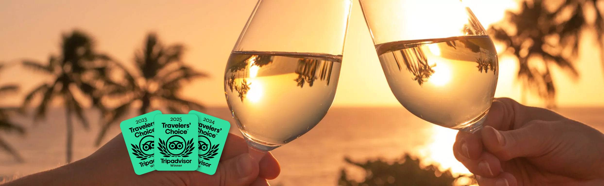 Absolute New Zealand Reviews