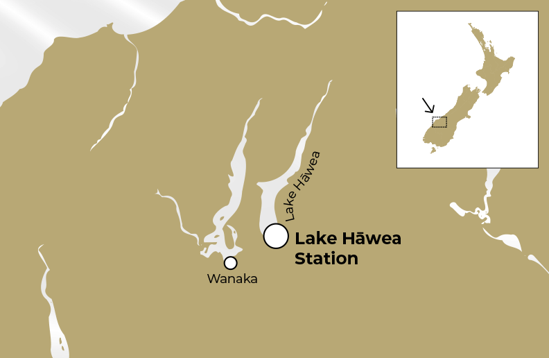 Lake Hawea Station