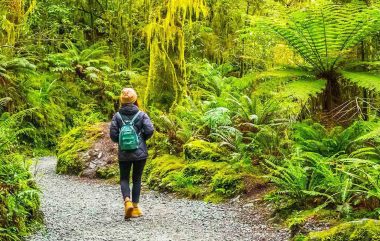 MIlford Track Hiking