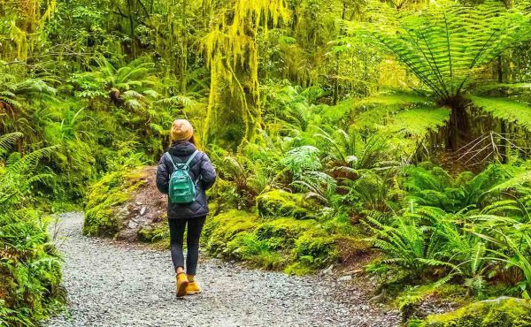 MIlford Track Hiking