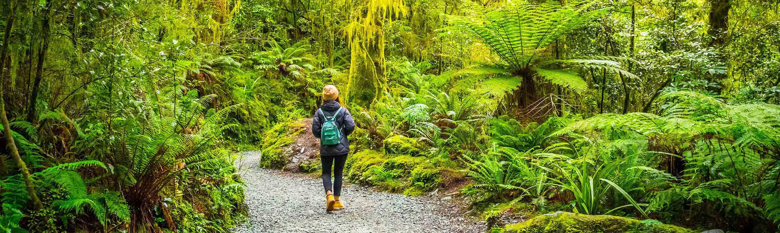 MIlford Track Hiking