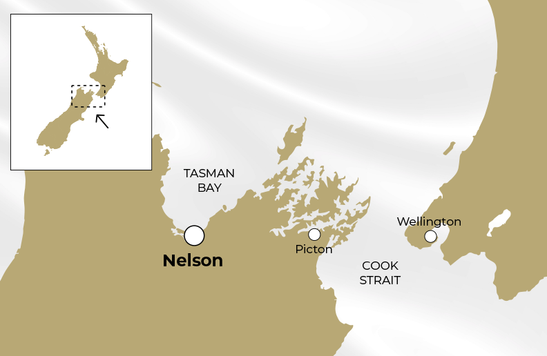 Nelson Tasman