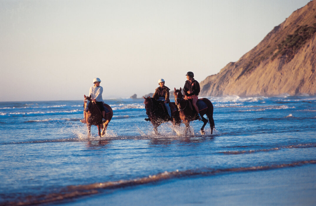 Wallingford Homestead Southern Hawkes Bay