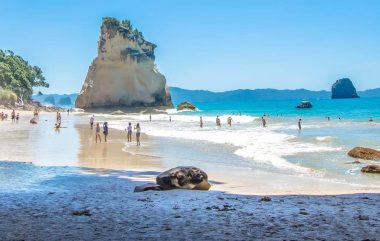 The Coromandel