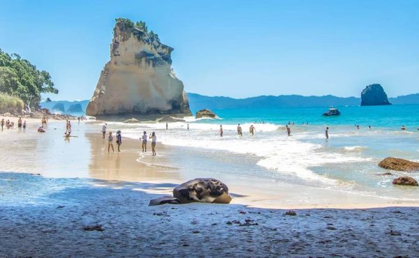 The Coromandel