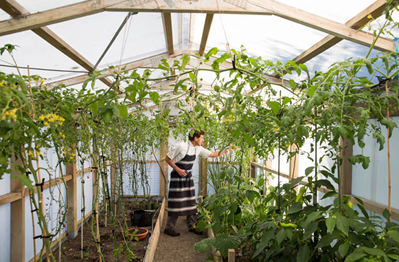 Hapuku Lodge + Tree Houses Cooking classes