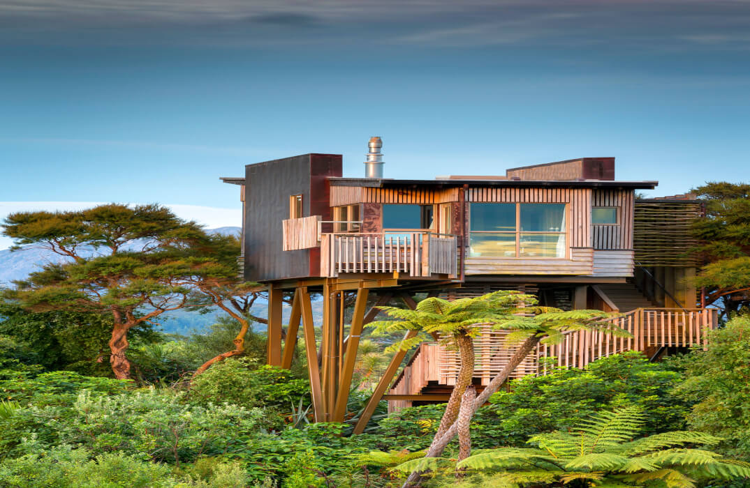 Hapuku Lodge + Tree Houses