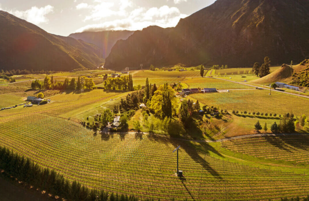 Eichardt's Private Hotel Queenstown - wine tour